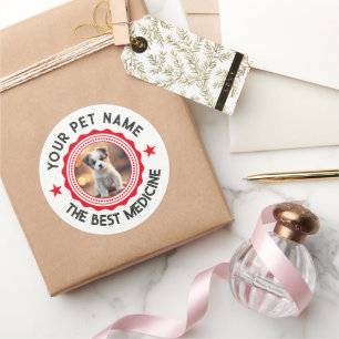 Personalised Editable Pet Lovers Classic Round Sticker
