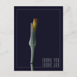 Personalised Elegant Floral Mirror Black Thank You Postcard