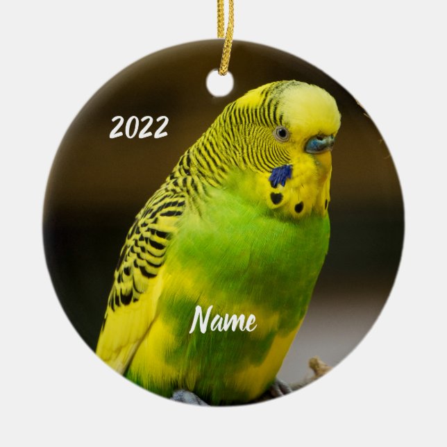 Personalised English Budgie Parakeet Ceramic Ornament (Front)