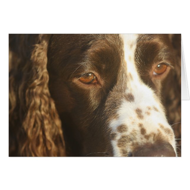 Personalised English Springer Spaniel Card (Front Horizontal)