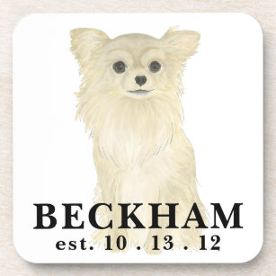 Personalised Fawn Tan Long Haired Chihuahua Coaster