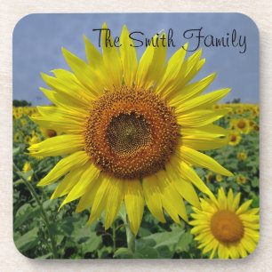 Personalised Field of Sunflowers Coaster