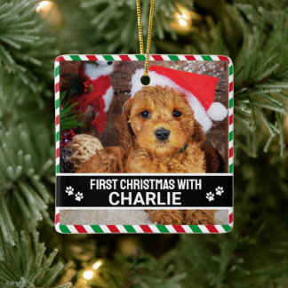 Personalised First Christmas Dog Photo Ceramic Ornament
