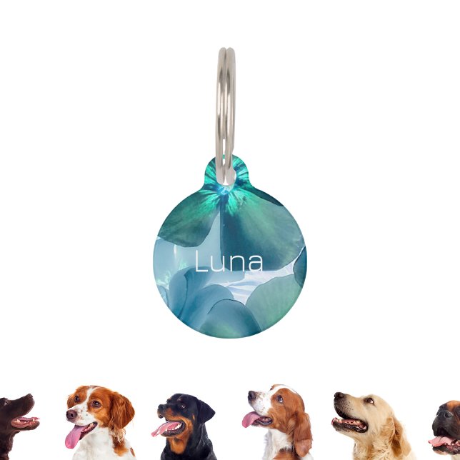 Personalised Flower Blossom pet ID tag (Creator Uploaded)