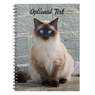 Personalised Fluffy Cat with Blue Eyes Notebook