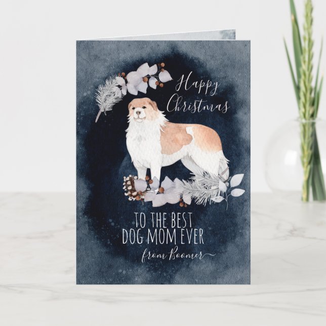 Personalised Fluffy Dog Armenian Gampr Christmas Holiday Card (Front)