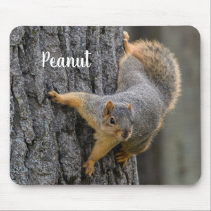 Personalised Fox Squirrel on a Tree Mouse Pad