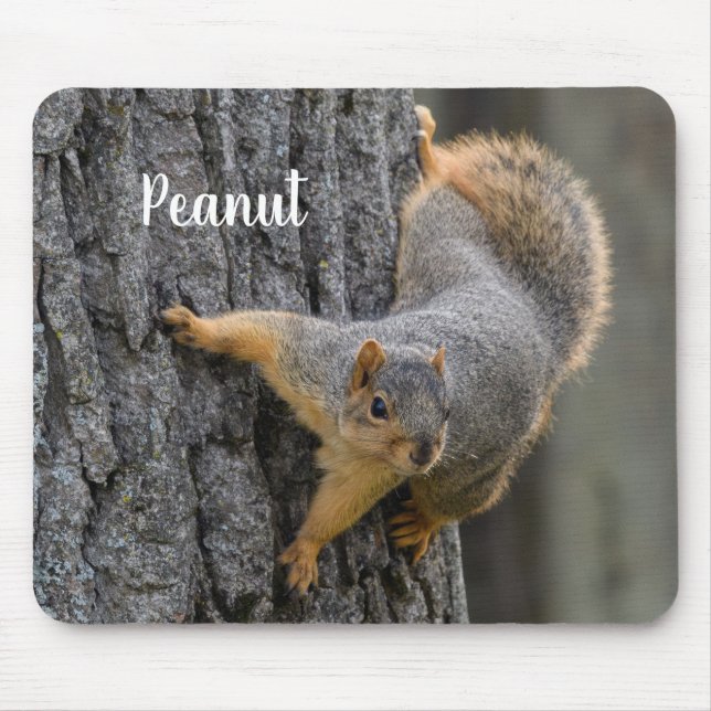 Personalised Fox Squirrel on a Tree Mouse Pad (Front)