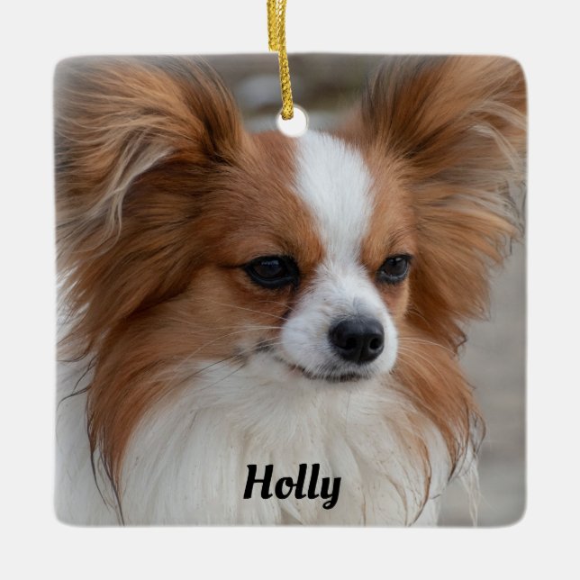 Personalised Friendly Papillon Puppy Dog Ceramic Ornament (Front)