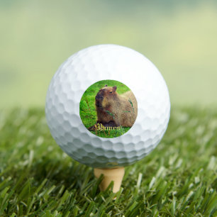 Personalised Fun Capybara Animal Golf Balls