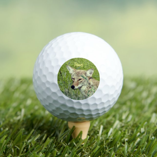 Personalised Fun Coyote Animal Golf Balls (Insitu Tee)