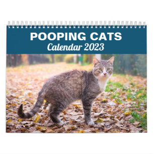 Personalised Funny Cats Pooping Calendar 2024