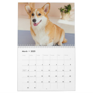 Personalised Funny Corgi Dog Pet Photo Calendar