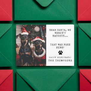 Personalised Funny Dog Photo Christmas Picture Holiday Card