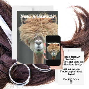 Personalised Funny Llama Hair Stylist Salon  Holiday Card
