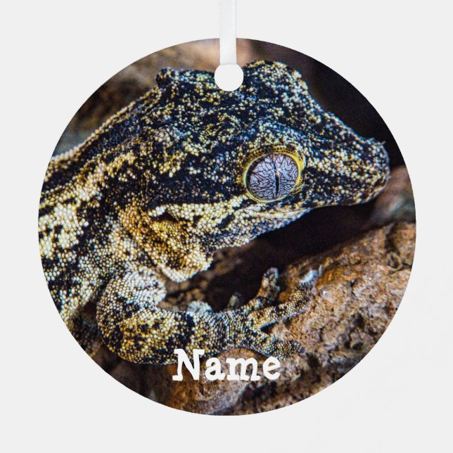 Personalised Gargoyle Gecko Pet Lizard Metal Tree Decoration (Back)