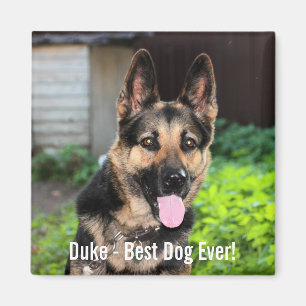 Personalised German Shepherd Dog Photo, Dog Name Magnet