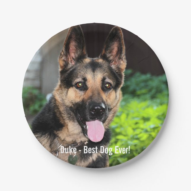 Personalised German Shepherd Dog Photo, Dog Name Paper Plate (Front)