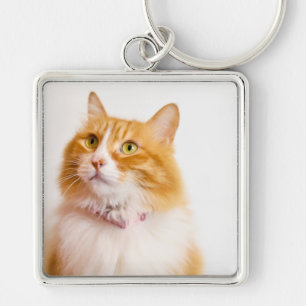 Personalised Ginger Cat Photo Custom Name Key Ring