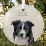 Personalised Glass Pet Christmas Tree Ornament<br><div class="desc">Personalise this round glass holiday ornament with your pet's name and photo easily with this simple modern template. If you need help removing the background from your favourite image,  simply download an AI background remover app on your mobile device.</div>