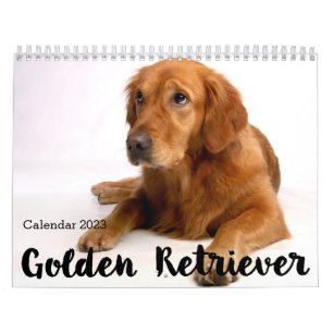 Personalised Golden Retriever Calendar 2023