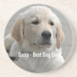 Personalised Golden Retriever Dog Photo and Name Coaster<br><div class="desc">Personalise this keepsake with your dog's or puppy's photo and name (or other pet or person's photo/name). Text reads "Best Dog Ever" or add your own text - We love Daisy (dog's name), dog's birthday or day of passing. Just click on "customise" to add your personalised text, change the font...</div>