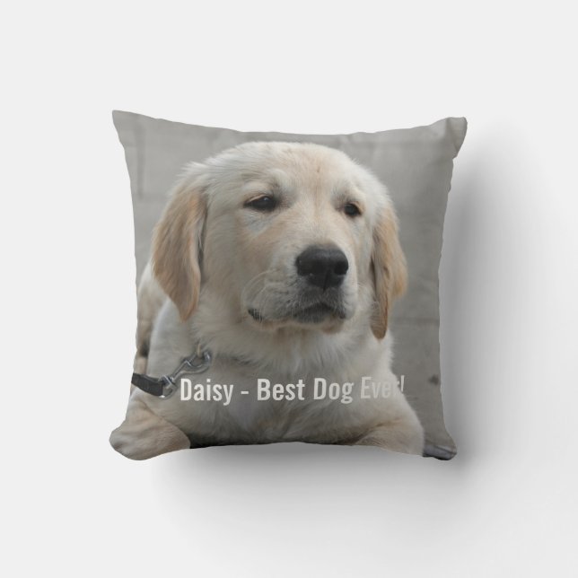 Personalised Golden Retriever Dog Photo and Name Cushion (Front)