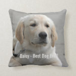 Personalised Golden Retriever Dog Photo and Name Cushion<br><div class="desc">Personalise this Golden Retriever Dog keepsake with your dog's or puppy's photo and name (or other pet or person's photo/name). Text reads "Best Dog Ever" or add your own text - We love Daisy (your dog's name), dog's birthday or day of passing. Just click on "customise" to add your personalised...</div>