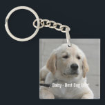 Personalised Golden Retriever Dog Photo and Name Key Ring<br><div class="desc">Personalise this Golden Retriever Dog keepsake with your dog's or puppy's photo and name (or other pet or person's photo/name). Text reads "Best Dog Ever" or add your own text - We love Daisy (your dog's name), dog's birthday or day of passing. Just click on "customise" to add your personalised...</div>