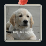 Personalised Golden Retriever Dog Photo and Name Metal Tree Decoration<br><div class="desc">Personalise this Golden Retriever Dog keepsake with your dog's or puppy's photo and name (or other pet or person's photo/name). Text reads "Best Dog Ever" or add your own text - We love Daisy (your dog's name), dog's birthday or day of passing. Just click on "customise" to add your personalised...</div>