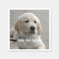 Personalised Golden Retriever Dog Photo and Name