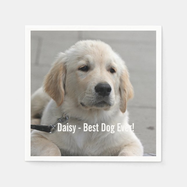 Personalised Golden Retriever Dog Photo and Name Napkin (Front)