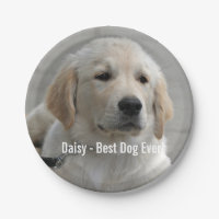 Personalised Golden Retriever Dog Photo and Name