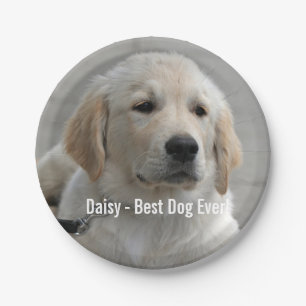 Personalised Golden Retriever Dog Photo and Name Paper Plate
