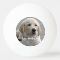 Personalised Golden Retriever Dog Photo and Name
