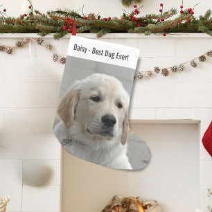 Personalised Golden Retriever Dog Photo and Name Small Christmas Stocking