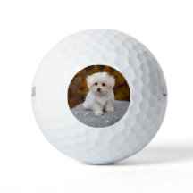 Personalised Golf Balls with cute Pet Photo