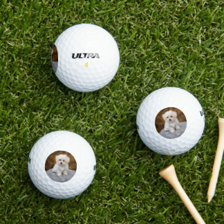 Personalised Golf Balls with cute Pet Photo