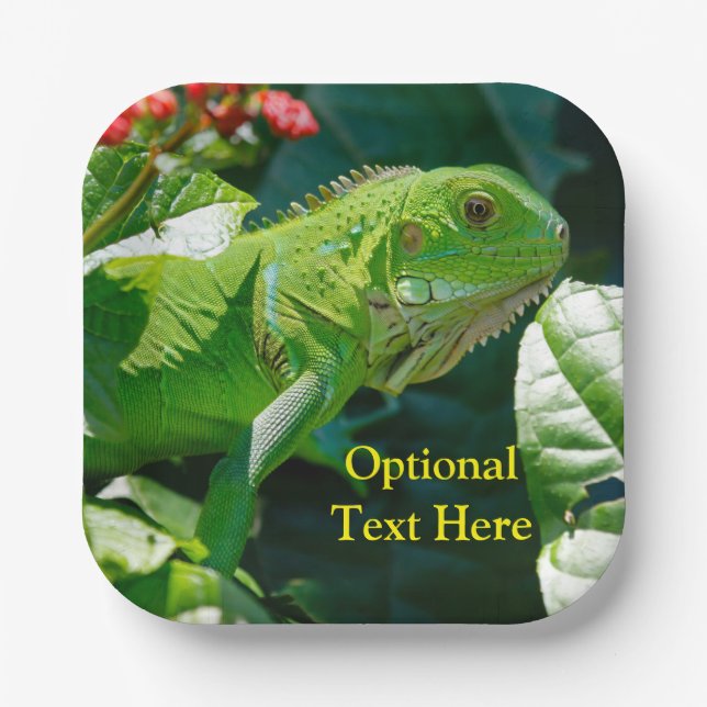 Personalised Green Iguana Lizard Paper Plate (Front)