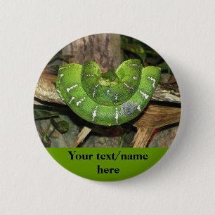 Personalised Green Snake Button