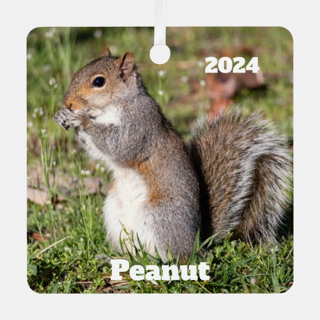 Personalised Grey Squirrel  Metal Tree Decoration (Front)