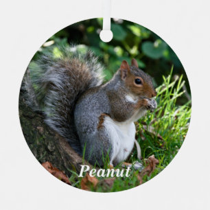 Personalised Grey Squirrel  Metal Tree Decoration