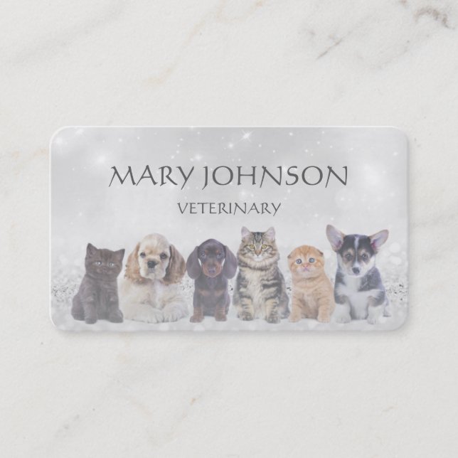 Personalised Grey Veterinary Business Cart Business Card (Front)