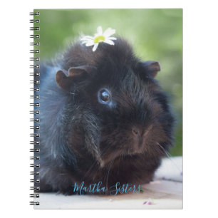 Personalised // Guinea Pig With A Daisy Notebook