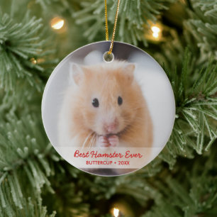 Personalised Hamster Pet Photo & Name Christmas Ceramic Ornament
