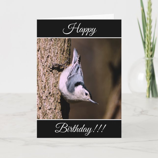 Personalised Happy Birthday Nuthatch Card (Front)