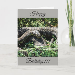 Personalised Happy Birthday Snake Card