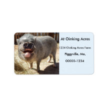 Personalised Happy Smiling Mini Pig Address Labels