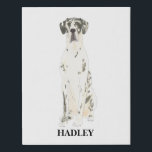 Personalised Harlequin Great Dane Faux Canvas Print<br><div class="desc">I am in love with this beautifully detailed watercolor illustration of a black and white harlequin great dane dog! Personalise these canvas art prints with your name or monogram and even and change the background colour to compliment your decor! Shop the rest of my collection for the sweetest housewarming, bridal...</div>