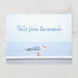Personalised// Hello // Seagull Postcard